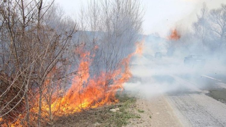 Подпалиха треви и храсти в индустриалната зона на Кърджали