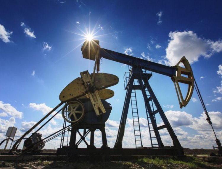 Ще търсят нефт в Северозападна България