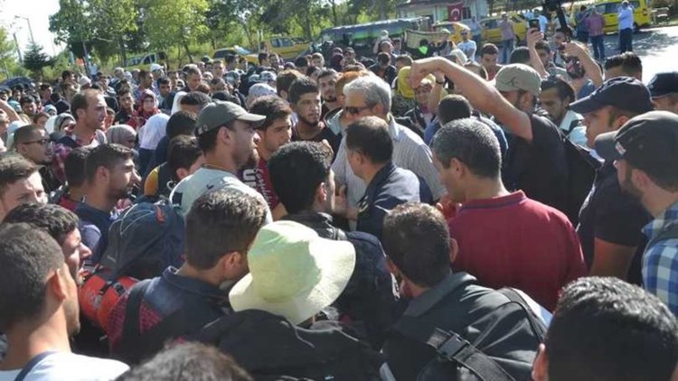Проф. Христов: От бежанския поток у нас се хранят много хора