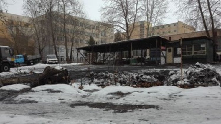 Кърджали остана без дърва за огрев  