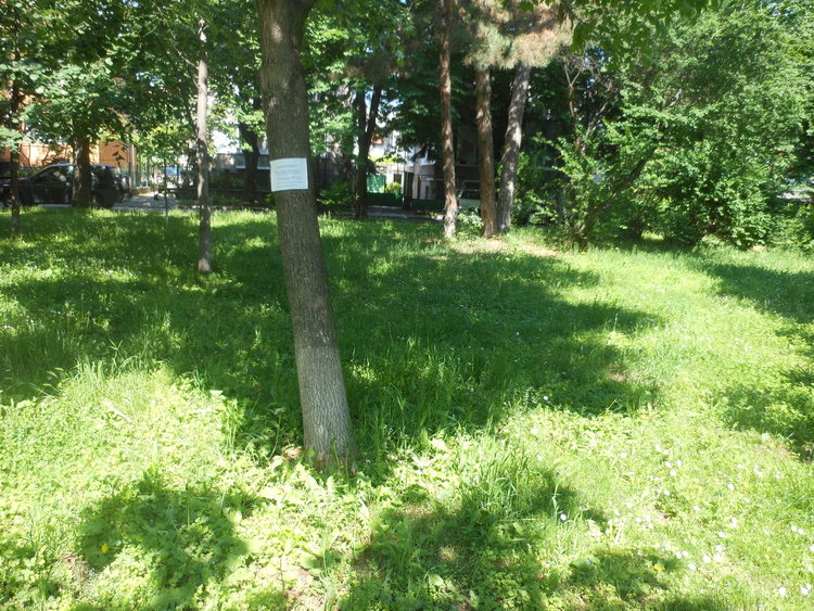 Asenovgrad.NET
