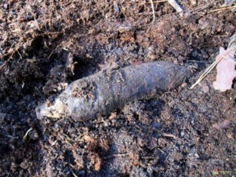 Сапьори обезопасиха снаряд до туристически обект в Ардинско