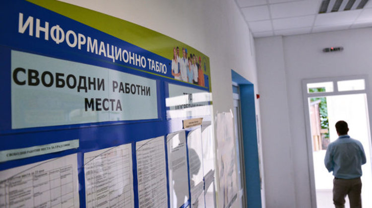 „Професионалните безработни“ -25 % от всички без работа