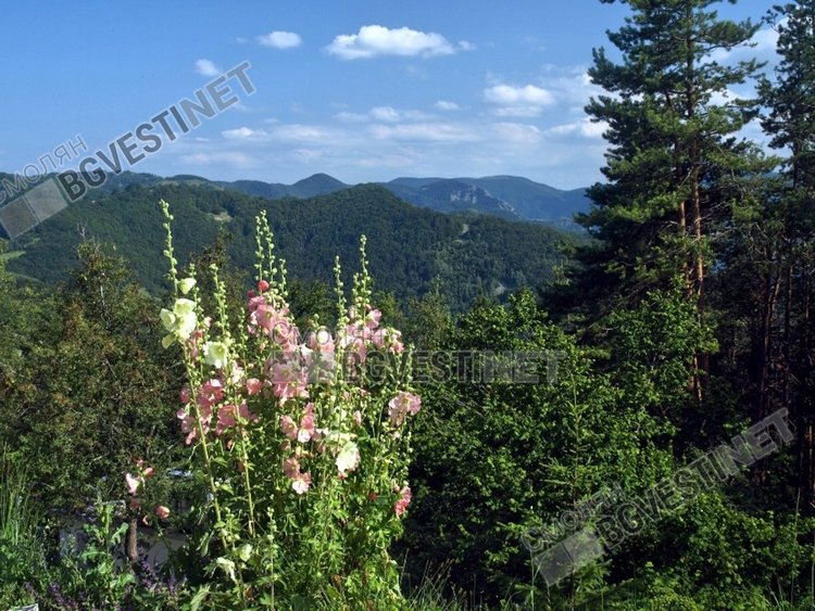 Слънце и до 20 градуса в сряда