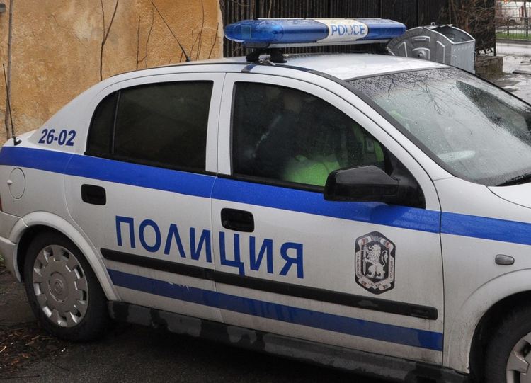 Автобус и кола прегазиха коне край Бирената фабрика