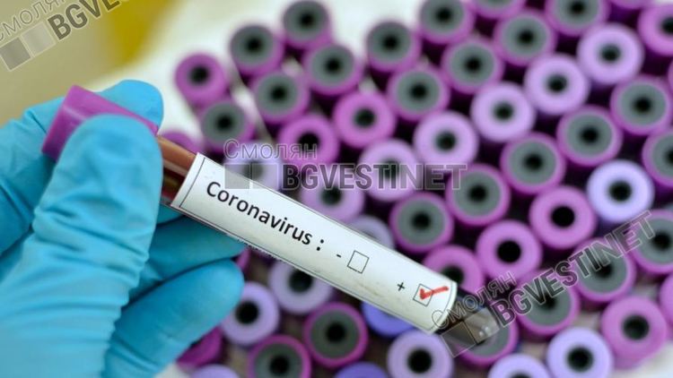 Четири нови случая на covid-19 в Смолянско, единият е лекар в доболнична помощ