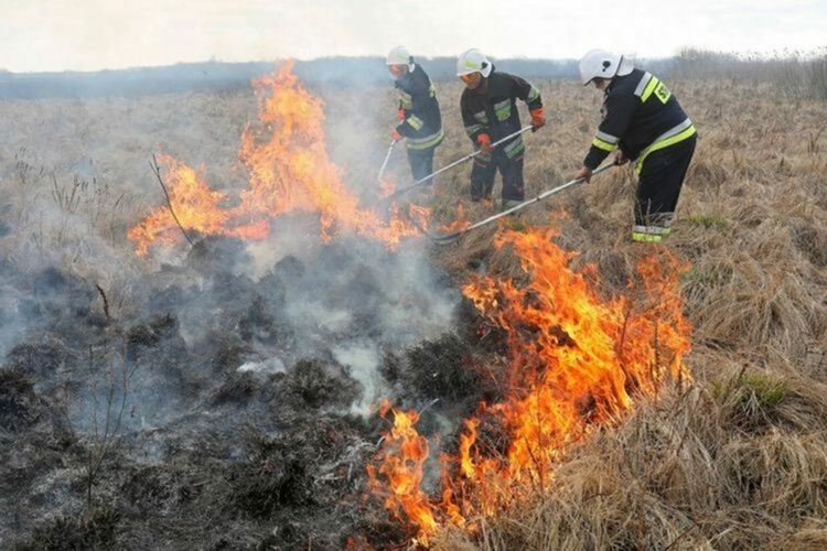 Пламнаха необитаеми сгради и сухи треви край Вехтино