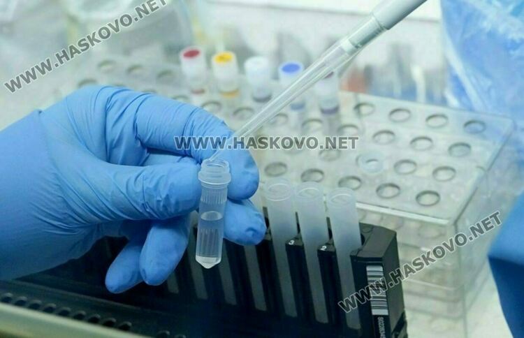 22 заразени с коронавирус в Хасковско, 117 са в болница