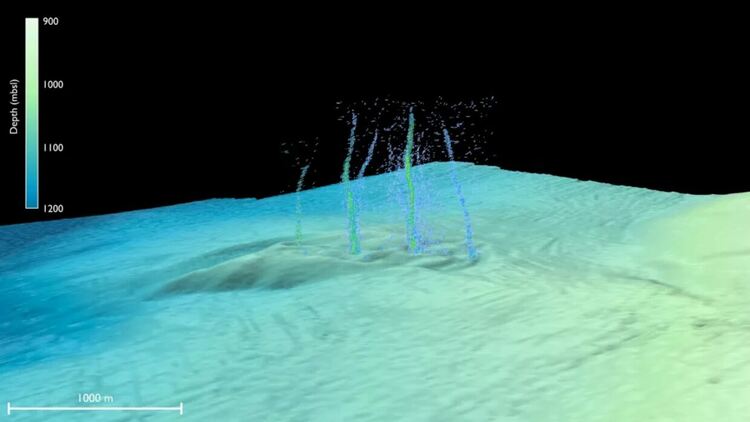 Image credit: Philip, B., Science Advances, 2023 DOI: 10.1126/sciadv.add6688