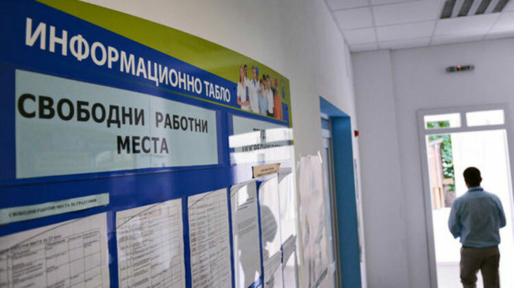 Актуални свободни работни места в Димитровград