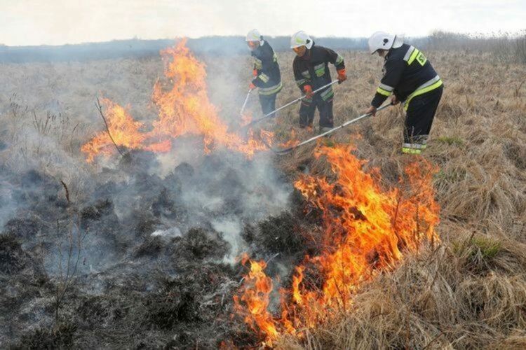Заради човешка небрежност горяха сухи треви край Неделино