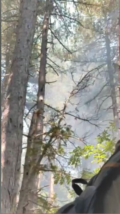 Задимяване над Асеновград заради горските пожари 