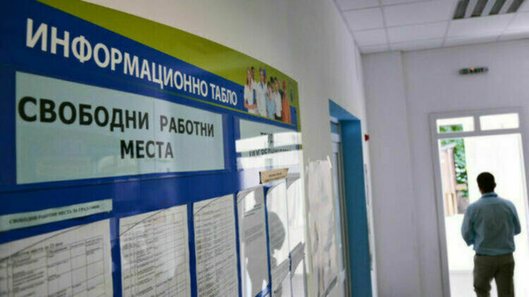 Актуални свободни работни места в Димитровград