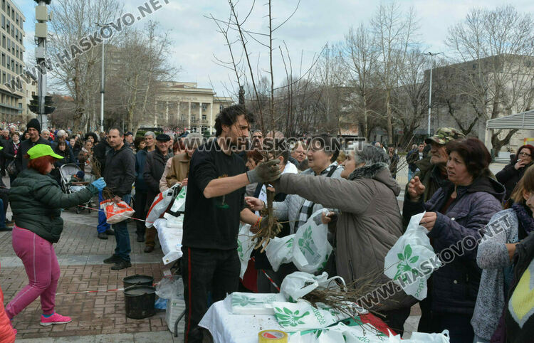 15 000 дръвчета ще бъдат раздадени на Богоявление в Хасково