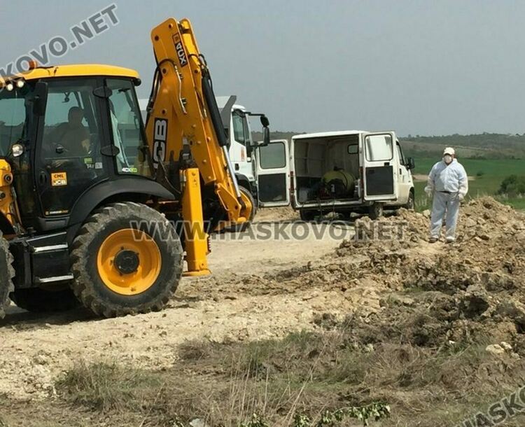 БАБХ обяви огнище на птичи грип в с.Черногорово