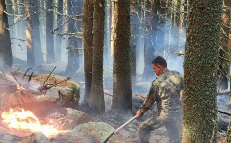 Седмица продължава борбата с пожара в Рила, включи се хеликоптер
