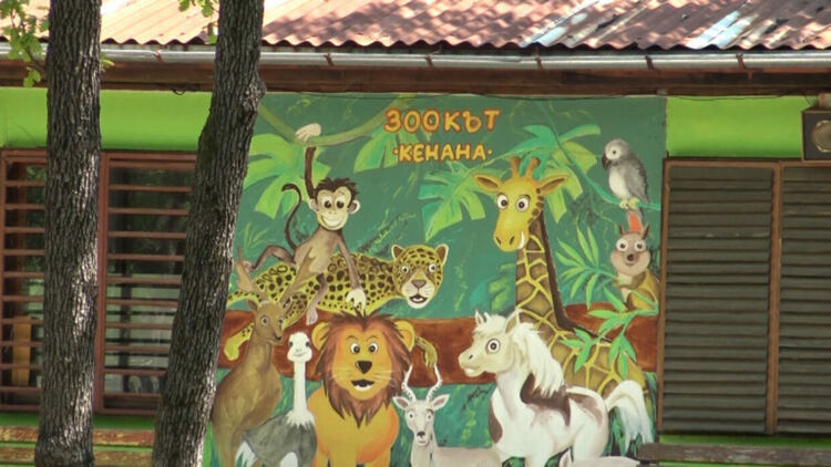 Обявиха фотоконкурс „Моето любимо животно в Зоокът „Кенана“  