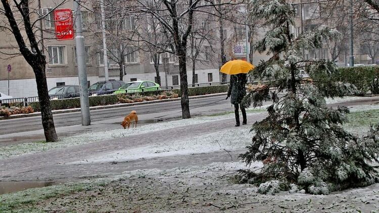 Мъгливо и дъждовно на места в сряда