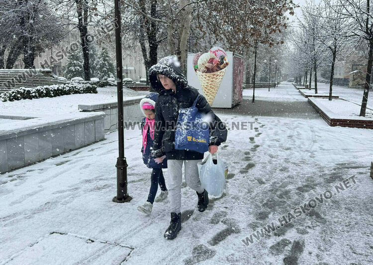 Продължават валежите от сняг и дъжд