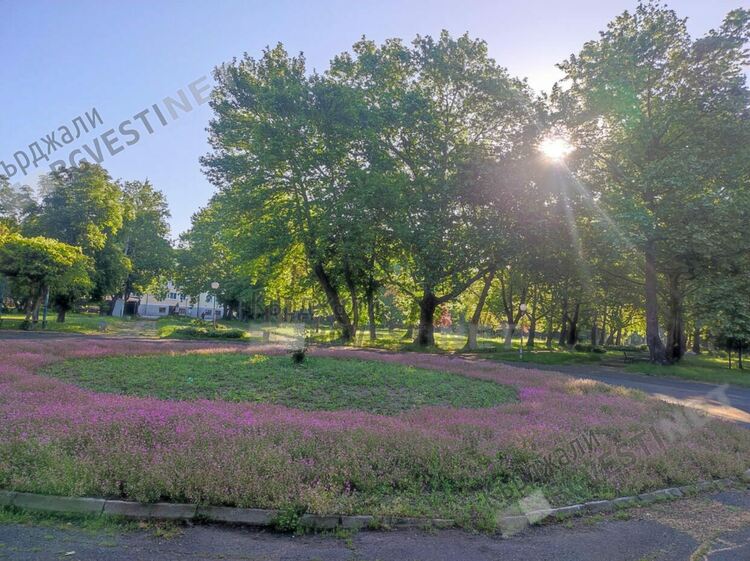 Слънчево с температура до 29 градуса в Кърджали днес