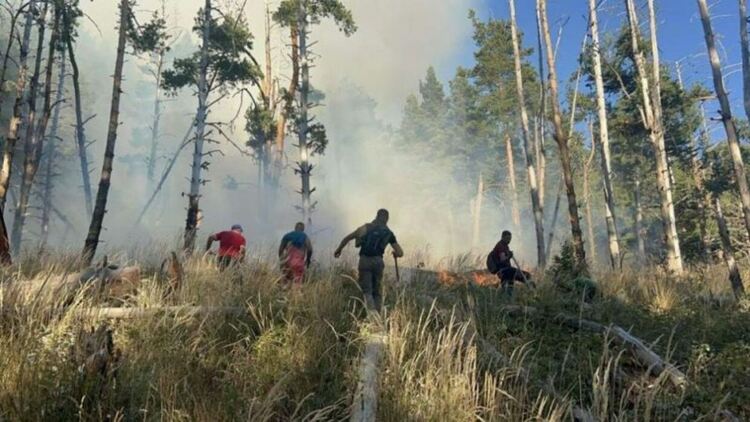 Пожарът в Рила се разраства, огънят тръгва към алпийската част