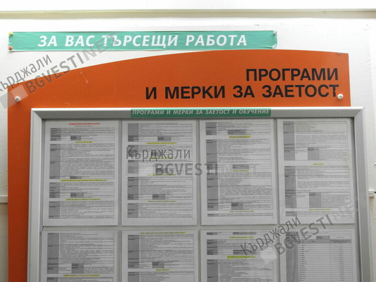 По програми и проекти за заетост и обучение за месец в областта са включени 417 лица