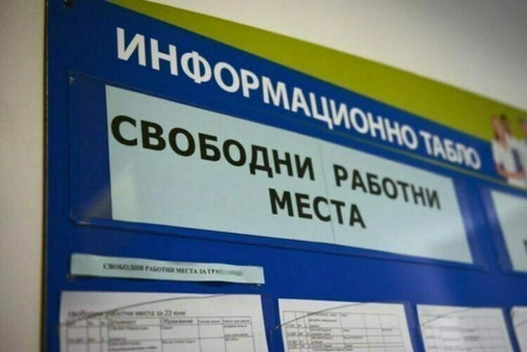 60 са обявените работни места в област Хасково